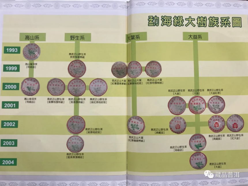 绿大树堪称国营勐海茶厂的“名门望族”！它的4大族系你能分清吗